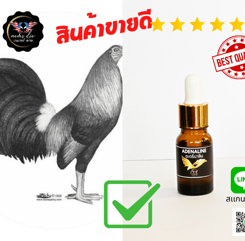 ยาโด๊ปไก่ชนยาไก่ตีอดรีนารีนADENALINE